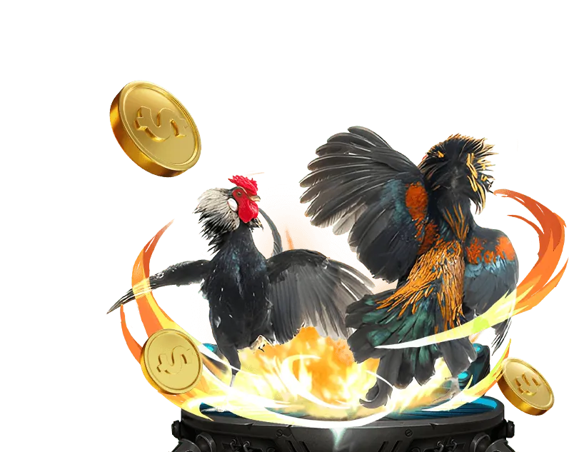 An toàn và bảo mật cá cược đá gà